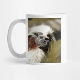 Cotton-top Tamarin Mug